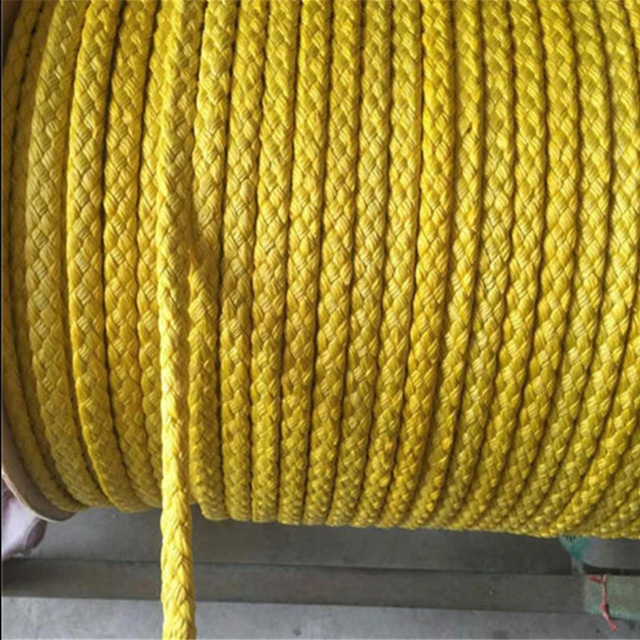 Corde de transport DuPont importée pour machine à papier